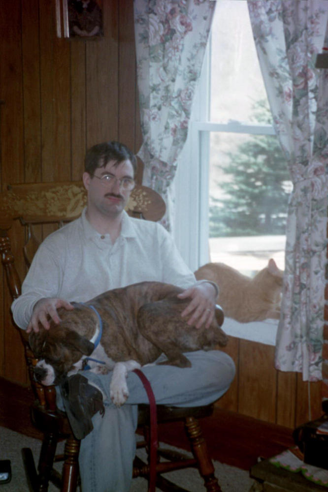 Lap Dog