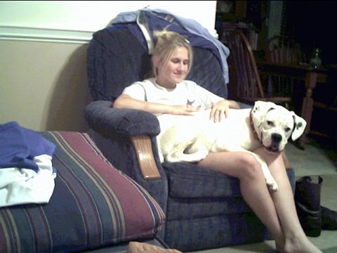 Lapdog