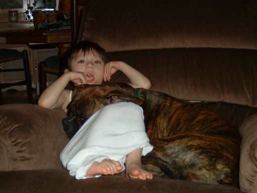 lapdog1