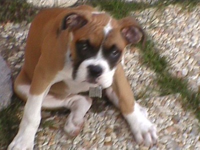 LAST ONE MOM!.....