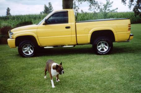 Last pic of our Abby by our Ram - 2001