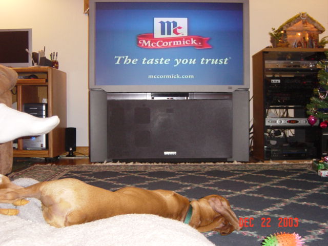 Late Night TV