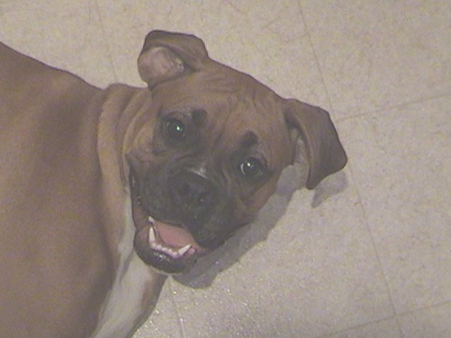 Laughing