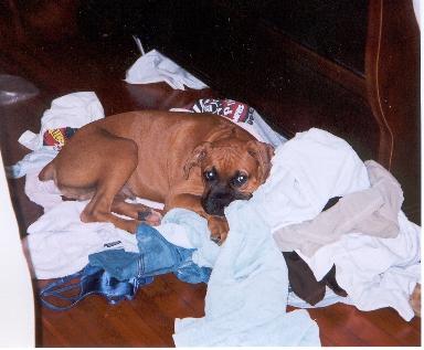 Laundry Day