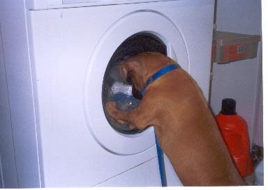 Laundry Day