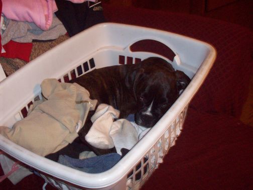 laundry