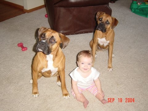 Lauren and her Boxer sisters