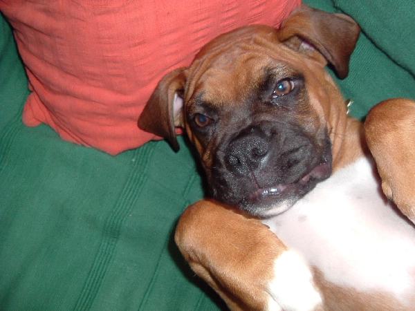 Layed back Leon