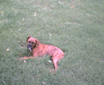 layin around