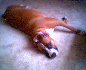 laying around