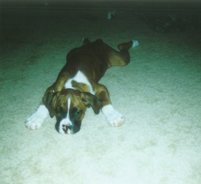 Laying around