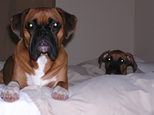 Laying on our bed
