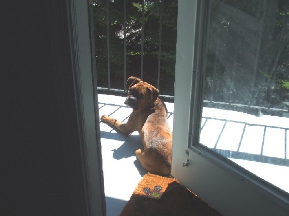 Laying out in the sun