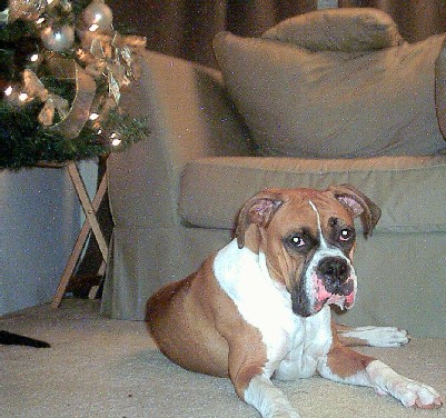 Layla 1 yrd old