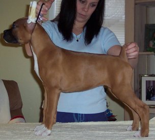 Layla 11 Week Stack