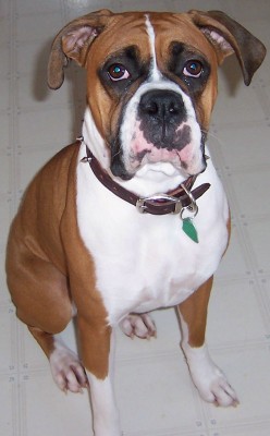 Layla 15 months