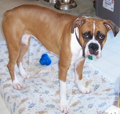 Layla 15 months