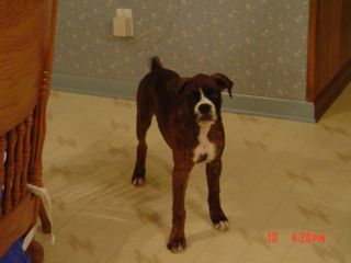 Layla @ 15 weeks