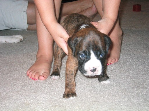Layla @ 3 weeks