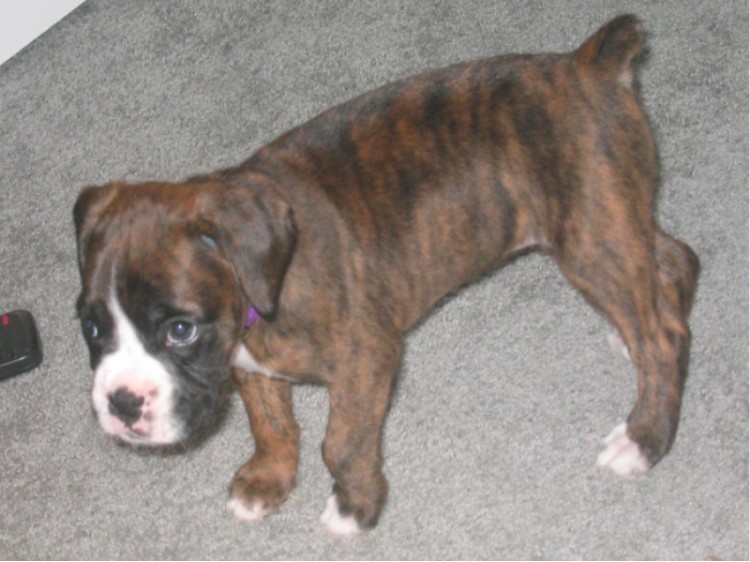 Layla @ 7 weeks!