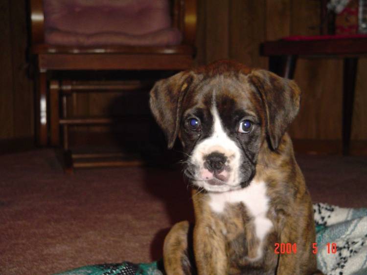 Layla 8.5 weeks