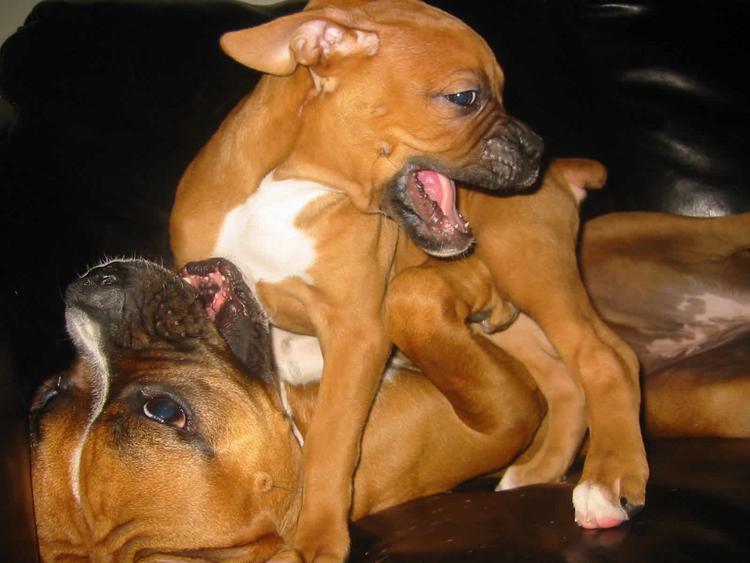 Layla and her new baby brother