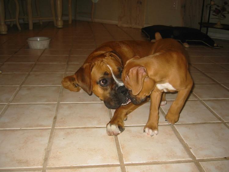 Layla and new brother