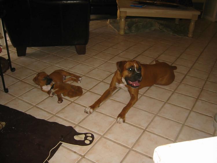 Layla and Oliver hanging out