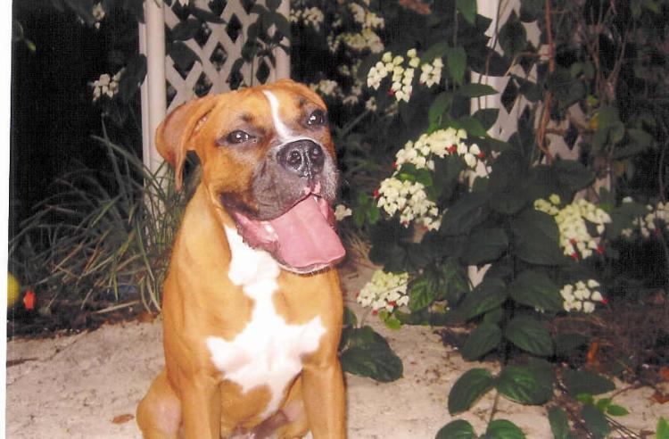 Layla In Back Yard Posing Pretty