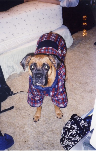 Layla in her "robe"