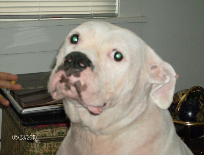 Layla looking at me