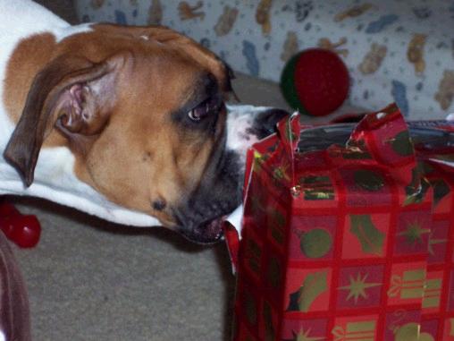 Layla opening her gift