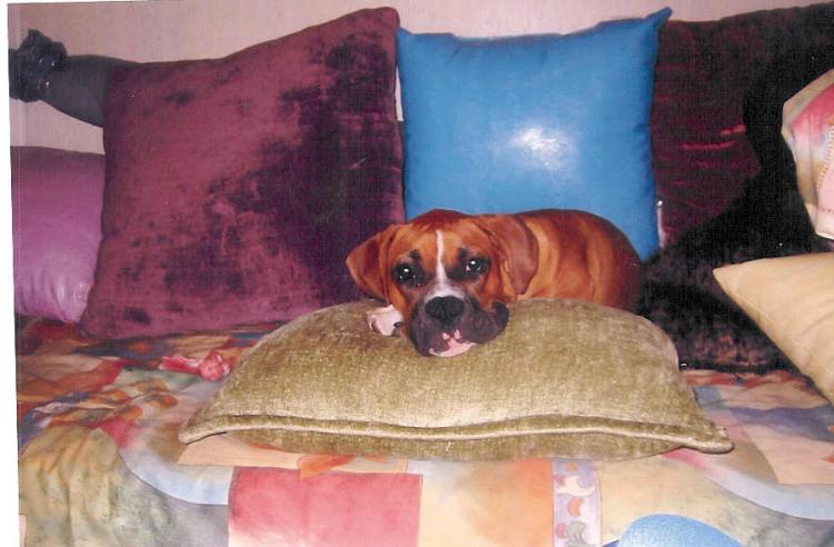 Layla Posing On Bed