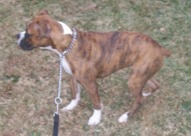 Layla profile 5 m/o