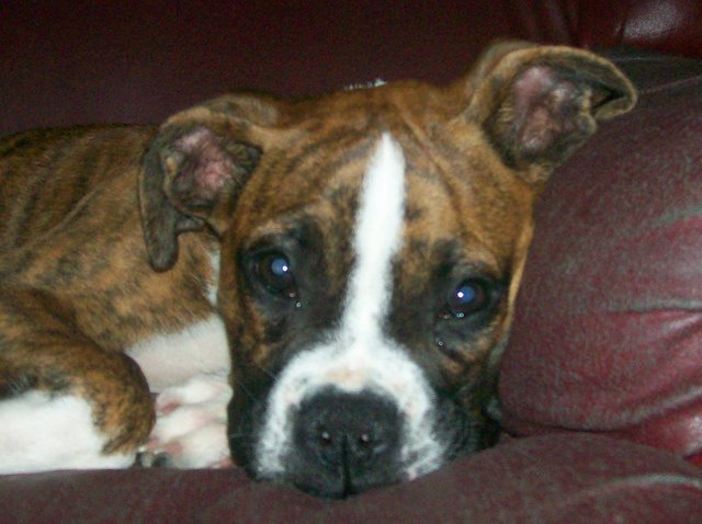 Layla so tired