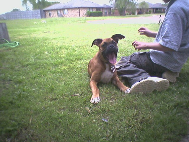 Layla17 weeks