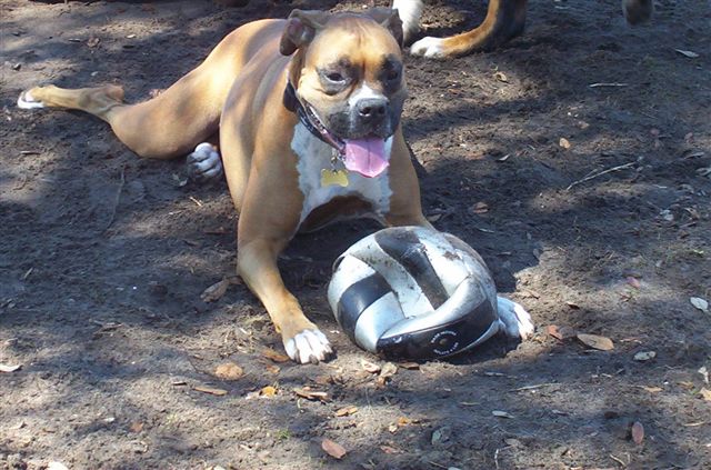 layloni and THE soccer ball