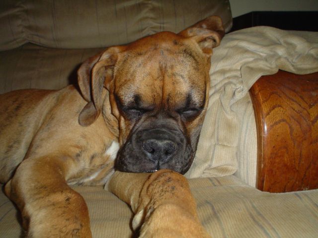 Lazy baby boy