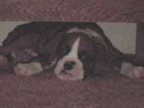 Lazy baby