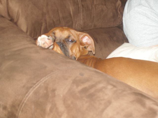 Lazy Bum.....