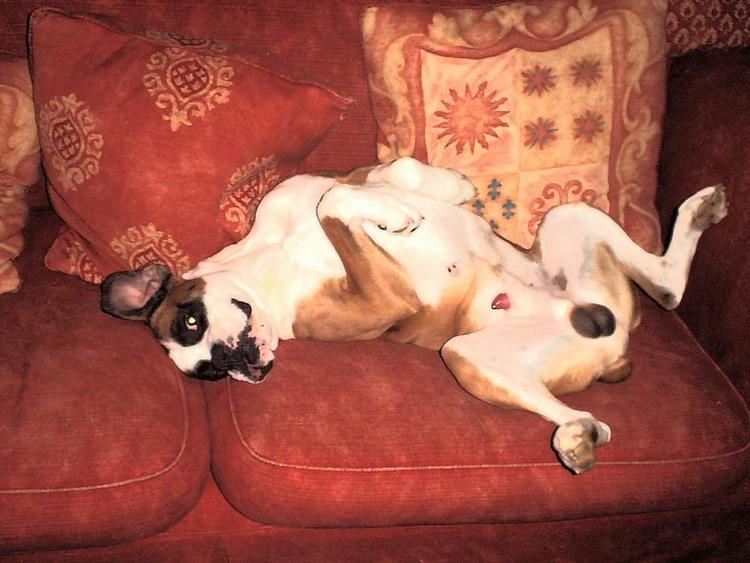lazy days
