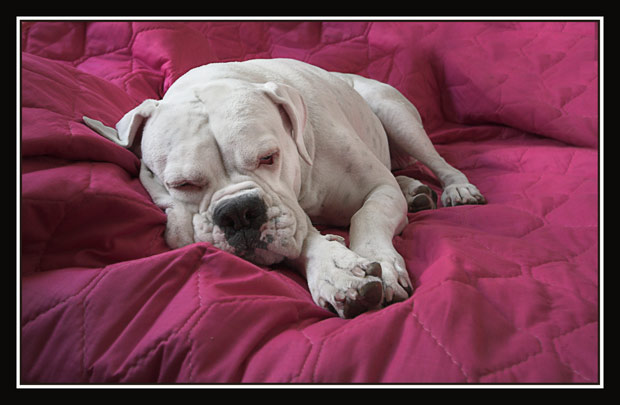Lazy days