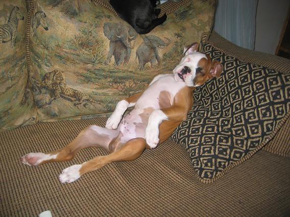 Lazy days