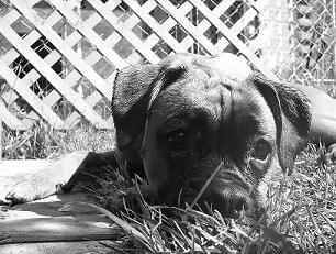 Lazy girl