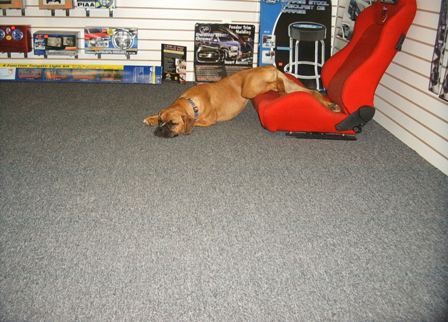 Lazy Girl!