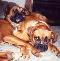 lazy girls