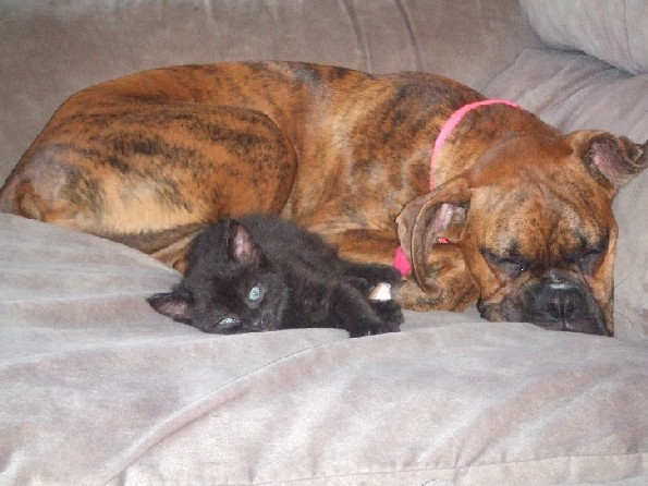 Lazy girls!