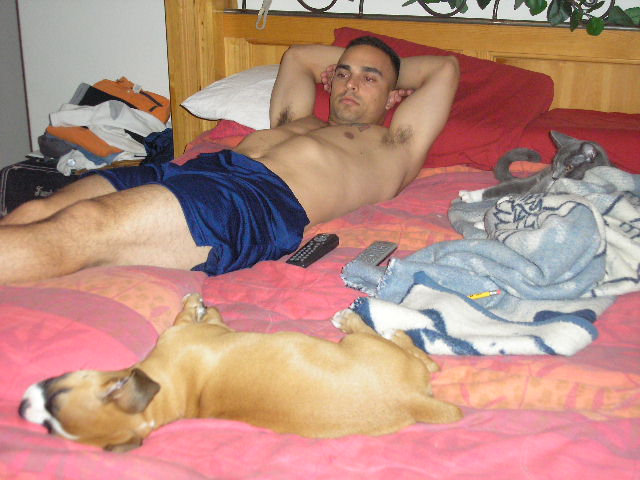 Lazy Human,Lazy Cat, Lazy Dog!