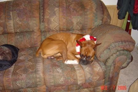 Lazy Lazy!!
