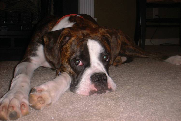 lazy little girl!